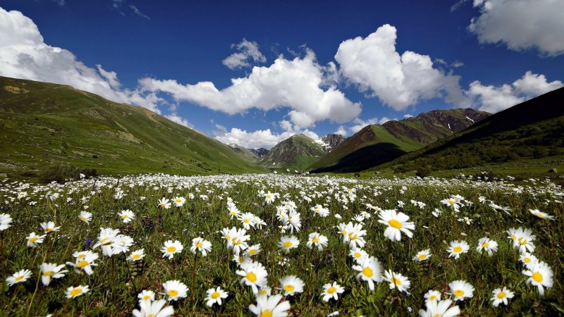 Rize’de nereyi görmeliyim?