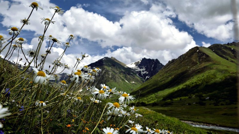 Rize’de nereyi görmeliyim?