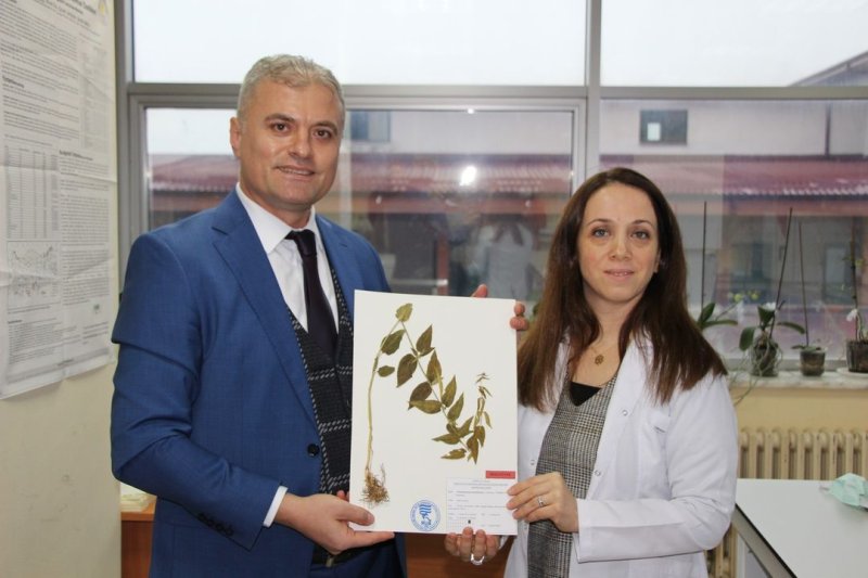 25 OCAK - Recep Tayyip Erdoğan Üniversitesi Fen-Edebiyat Fakültesi Biyoloji bölümü öğretim üyeleri tarafından Türkiye'de yeni bir endemik bitki türü keşfedildi