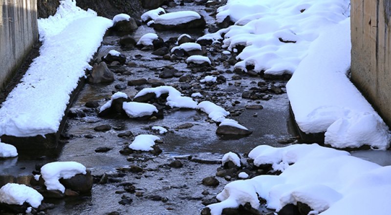 Rize'de Kuraklık Alarmı Verildi