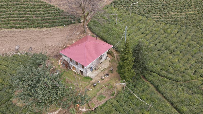 İstanbul'da Doğdu, Büyüdü Şimdi Rize'de Köyünde Yaşıyor