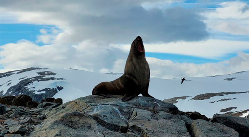 Antarktika'daki bilim insanları yurda döndü