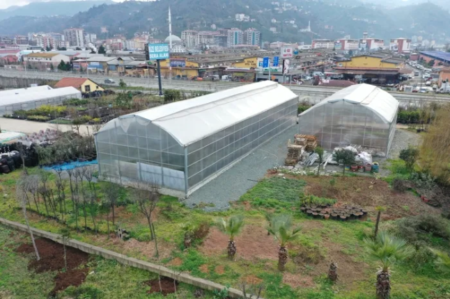 Rize'deki serada 300 farklı tür bitki yetiştiriliyor