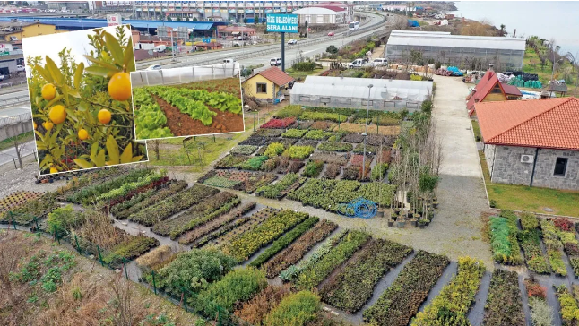 Rize'deki serada 300 farklı tür bitki yetiştiriliyor