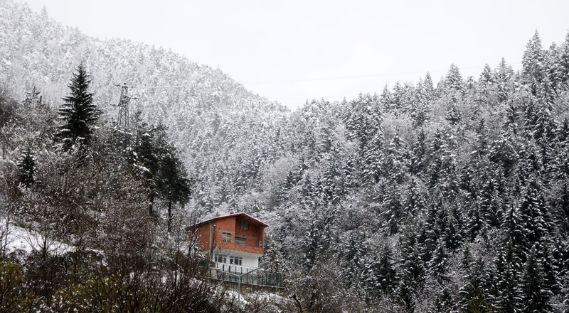 Rize'nin yüksek kesimlerinde kar etkili oluyor
