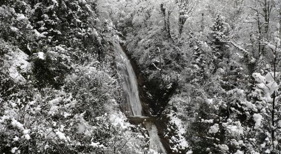 Rize'nin yüksek kesimlerinde kar etkili oluyor