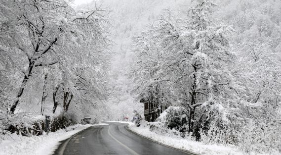 Rize'nin yüksek kesimlerinde kar etkili oluyor