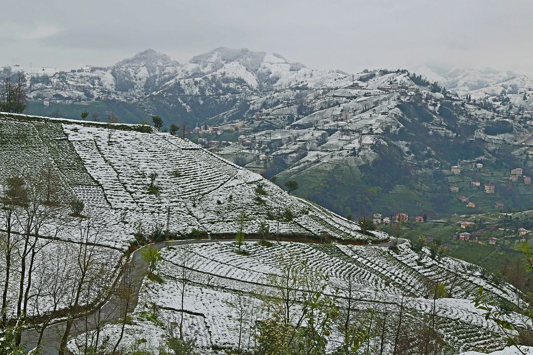 Rize'den ilkbahar karı manzaraları