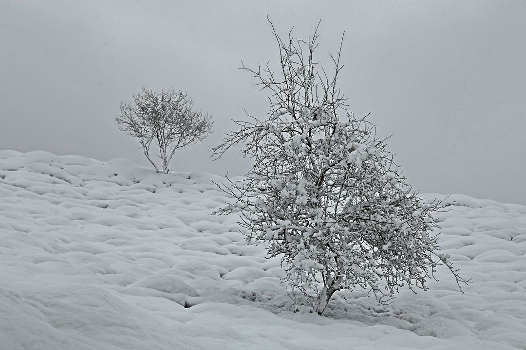 Rize'den ilkbahar karı manzaraları