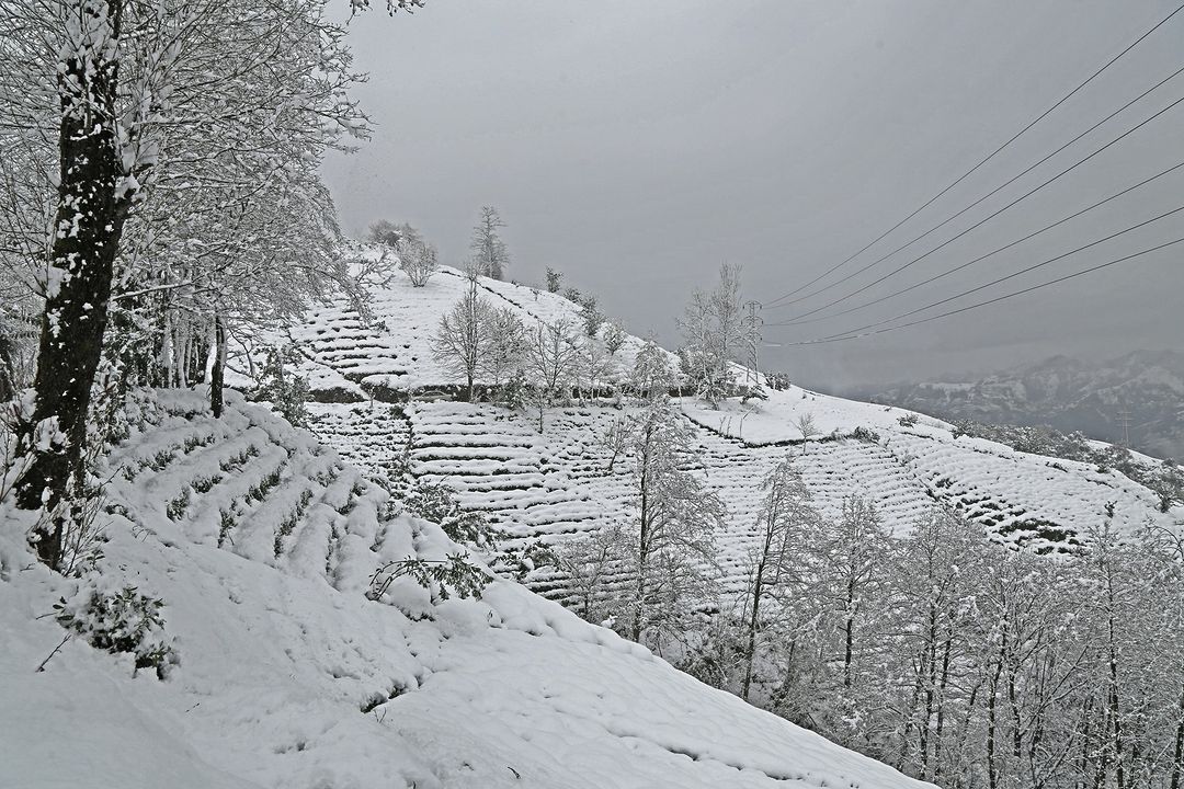 Rize'den ilkbahar karı manzaraları