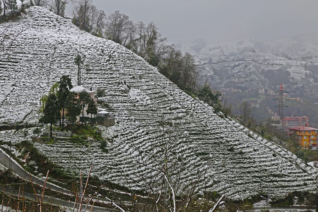 Rize'den ilkbahar karı manzaraları