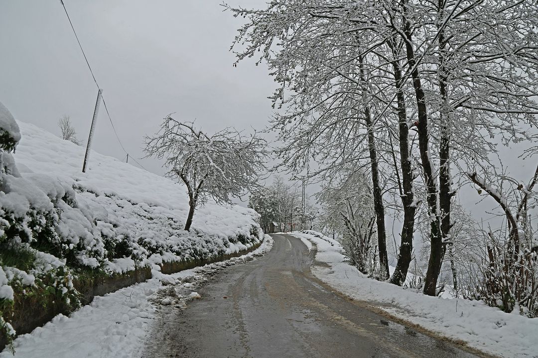 Rize'den ilkbahar karı manzaraları