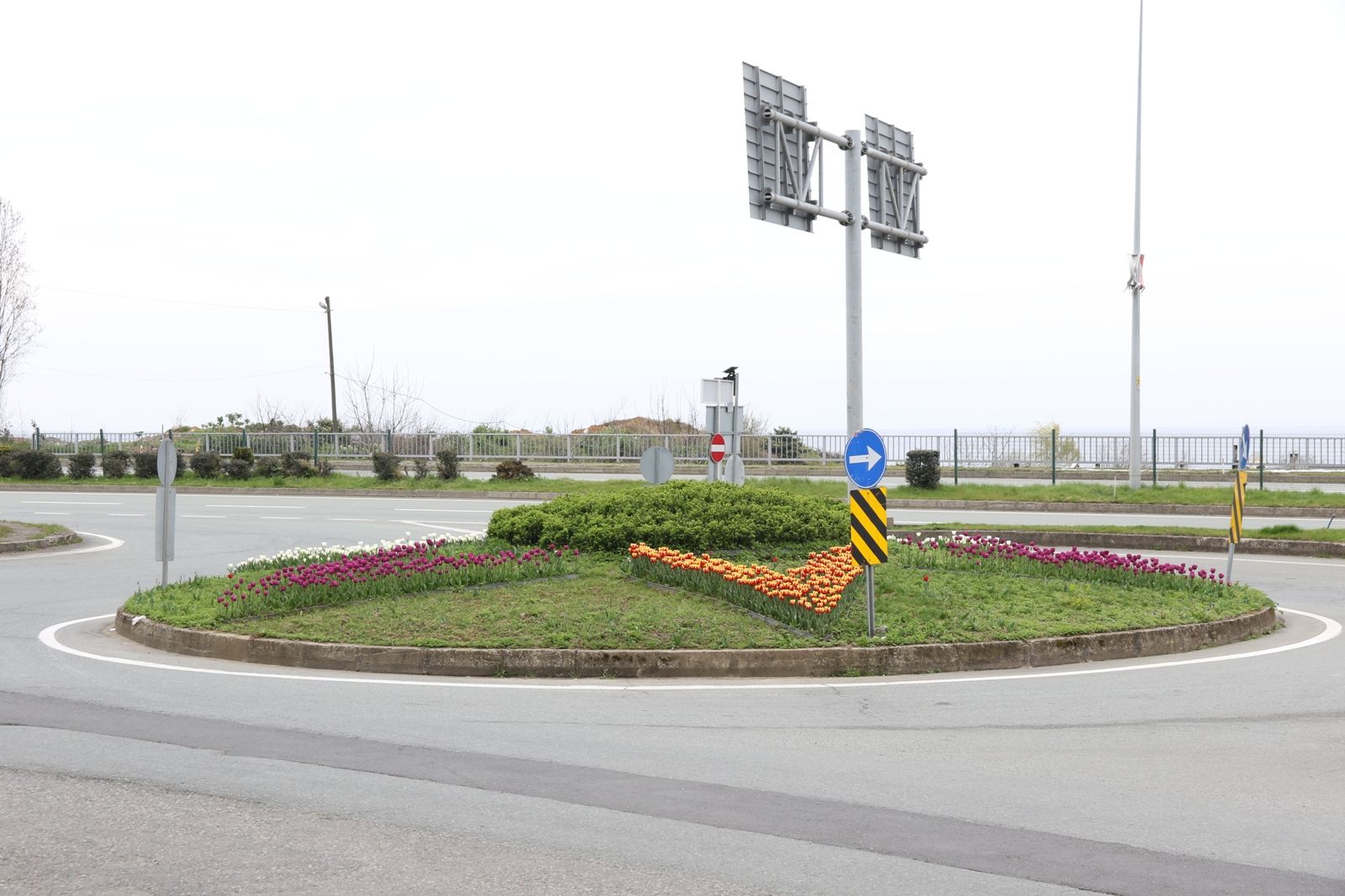 Laleler Rize'nin güzelliğine güzellik kattı