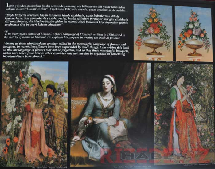 İstanbul'da Bahçe ve Çiçek Sergisi