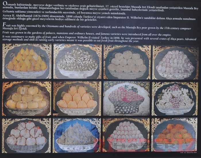 İstanbul'da Bahçe ve Çiçek Sergisi