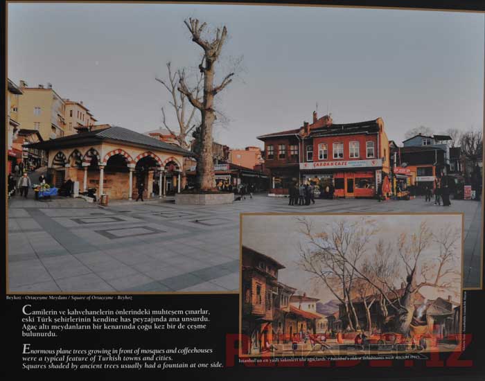 İstanbul'da Bahçe ve Çiçek Sergisi