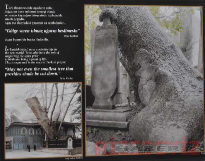 İstanbul'da Bahçe ve Çiçek Sergisi