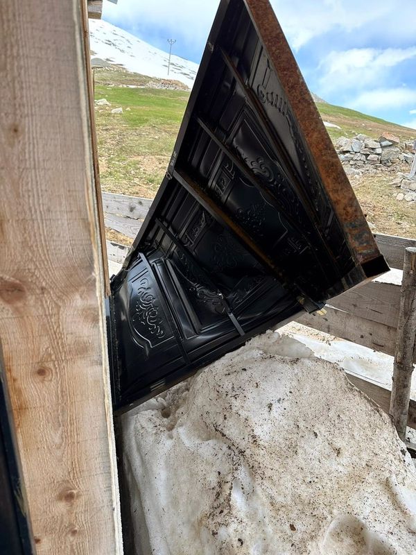 Aç kalan ayılar yayla evlerine dadandı