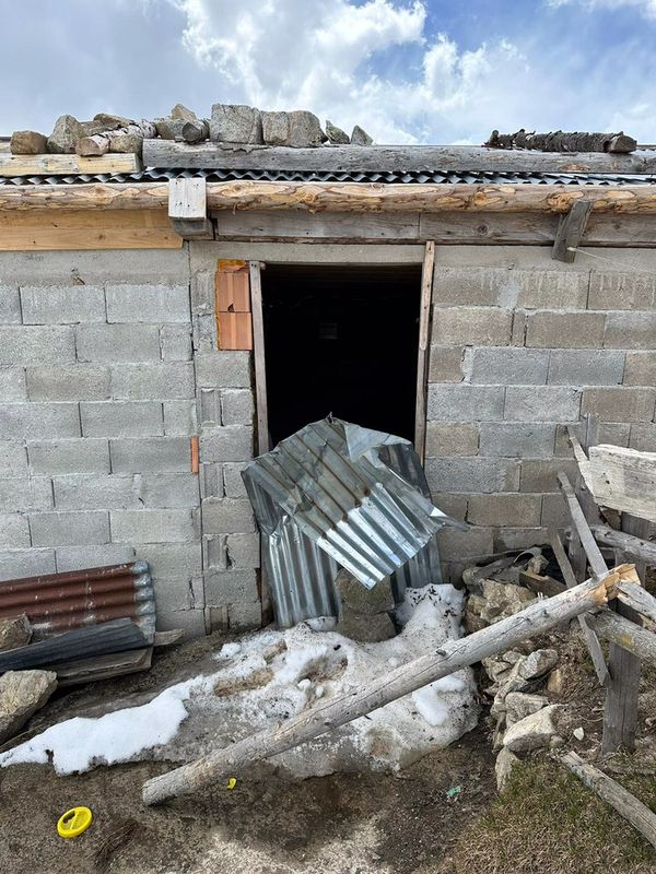 Aç kalan ayılar yayla evlerine dadandı