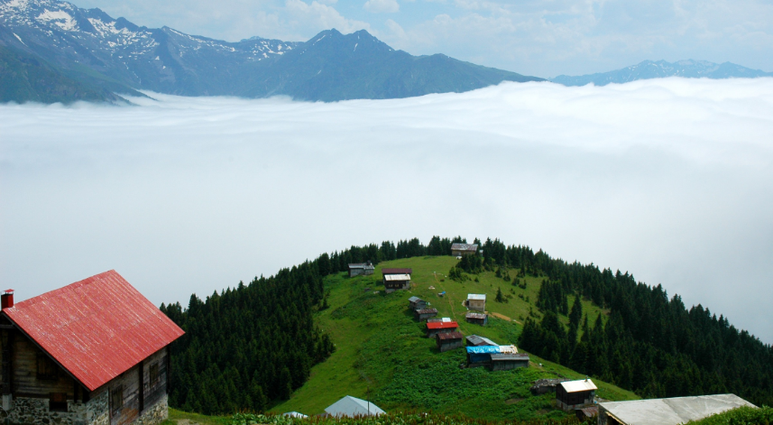 Pokut Yaylası;
Aşırı sakin, manzarası güzel, huzur veren bir yaylada doğa yürüyüşü mü yapmak istiyorsunuz? Pokut Yaylası en doğru tercih olacaktır. Ayder ile komşu olan bu yaylaya uğradığınızda, kendinizi inanılmaz şanslı hissedecek ve buradan ayrılmayı hiç istemeyeceksiniz.
