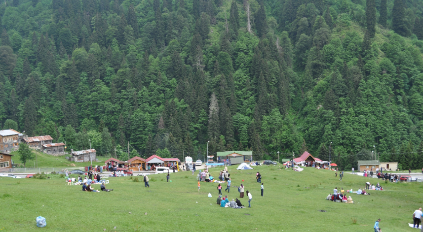 Avusor Yaylası;
Çamlıhemşin’de de ne kadar çok yayla varmış dediğinizi duyar gibiyiz. Avusor Yaylası da onlardan biridir. 300 civarında ev olan bu yaylanın manzarası sizi burada ev yapmaya ikna edecek kadar güzeldir. Burada bulunan evlerin manzarasıyla kendi evlerinizin manzarasını kıyasladığınızda, biraz üzülebilirsiniz.
