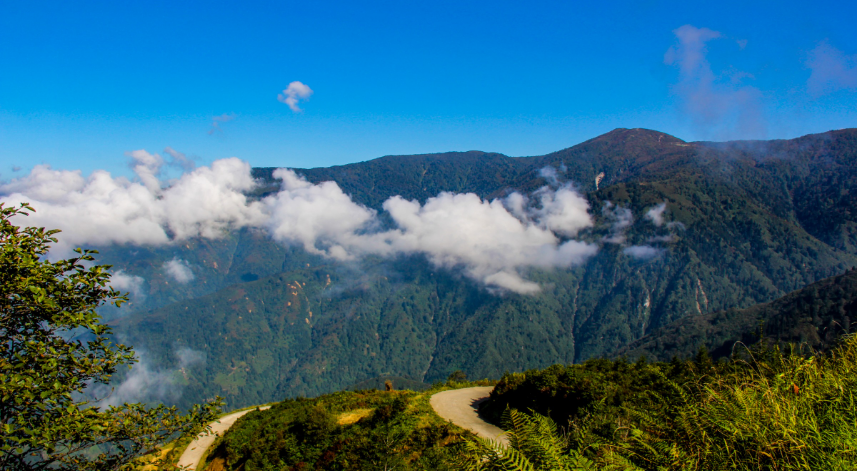 Handüzü Yaylası;
Güneysu ilçesinde bulunan Handüzü Yaylası’nda özellikle de yaz aylarında pek çok şenlik düzenlenmektedir. Rize seyahatinizi doğru bir zamanda yaptığınızda, bu şenliklere siz de katılabilirsiniz. Böylece hem eğlenip hem de manzaranın tadını çıkarabilirsiniz.