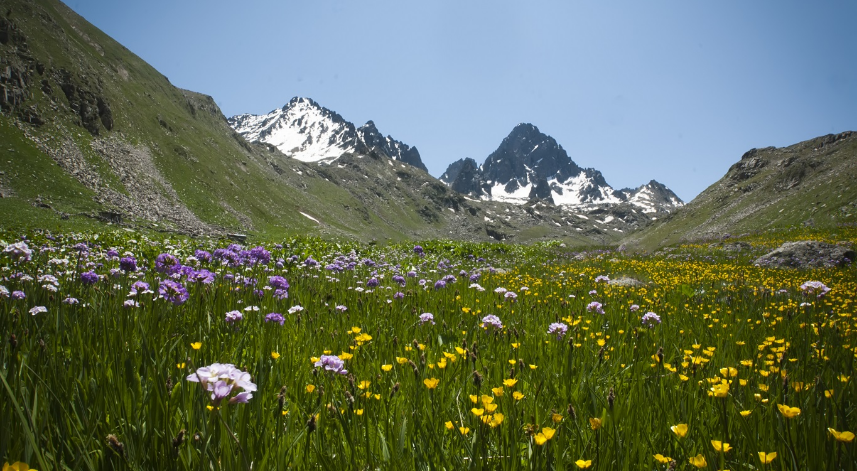 Kaçkar Dağları Milli Parkı;
Ülkemizde Milli Parkların oldukça önemli olduğunu düşündüğümüzde, Rize’ye kadar gelmişken Kaçkar Dağları Milli Parkı’na uğramadan dönmezsiniz diye düşünüyoruz. Milli Parkın bir bölümü Artvin ve Erzurum iline de uzanmaktadır. Milli parkın görüntüsünü bir kez gördüğünüzde, çok uzun bir süre hafızanızdan silinmeyeceğine eminiz.
