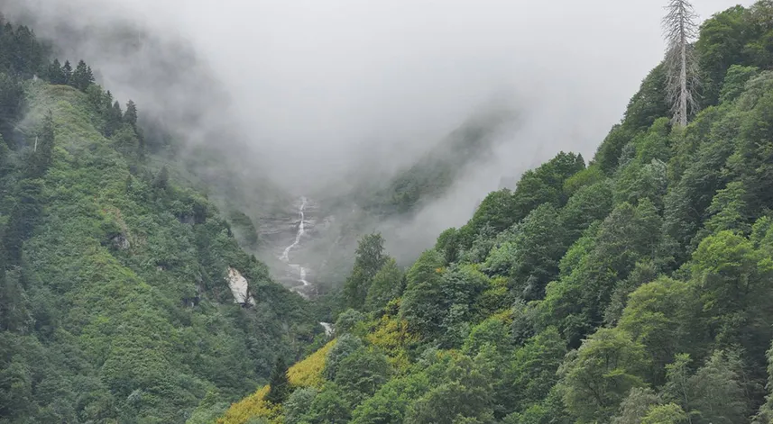 4- Gelin Tülü Şelalesi