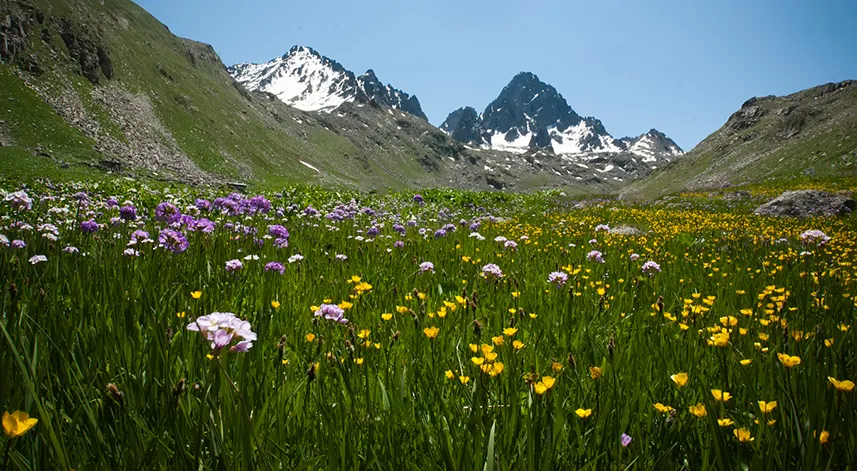 9- Kaçkar Dağları Milli Parkı