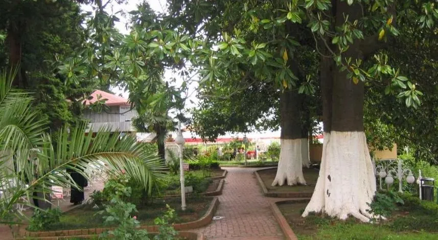 Ziraat Çay Bahçesi: Rize şehir merkezinde bulunan Ziraat Çay Bahçesi, Atmeydanı mevkiinde yer almaktadır. Ulaşım, Zihni Derin Caddesi üzerinden sağlanmaktadır. Rize merkez dolmuşları ve taksiler ile de kolayca ulaşım sağlanabilir.

Rize Kalesi ve Rize’nin muhteşem doğa manzaralarına hakim olan Ziraat Çay Bahçesi, keyifli seyir manzaraları arayanlar ve lezzetli bir çay deneyimi yaşamak isteyenler için idealdir. Çiçekler ve ağaç düzenlemeleri ile oldukça keyifli bir gezi noktası olmasının dışında, hediyelik çay alışverişi için de ziyaret edilebilir.