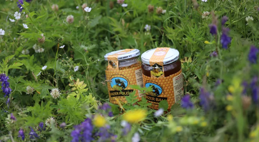 Dünyaca ünlü Anzer balının kilogram fiyatı 2 bin 500 TL olarak açıklandı.