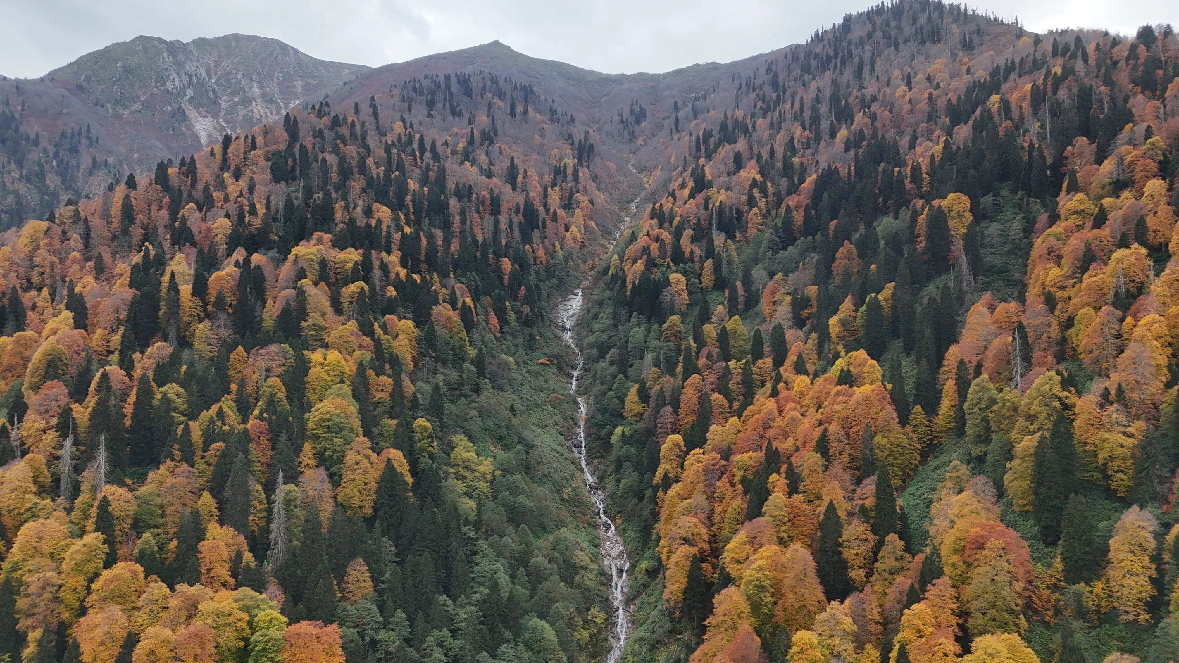 Rize'de Ayder Yaylası'nda sonbahar renkleri hakim oldu