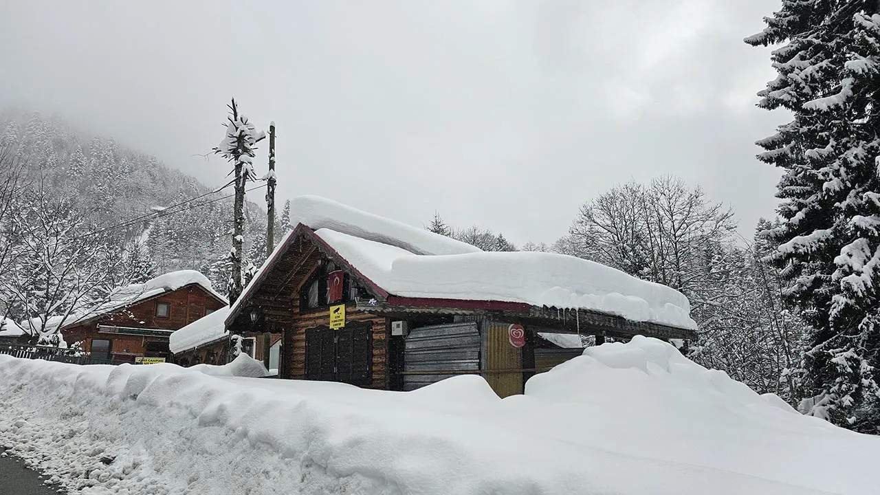 Rize'de 2 gündür aralıklarla devam eden yağmur, yüksek kesimlerde yerini kara bıraktı