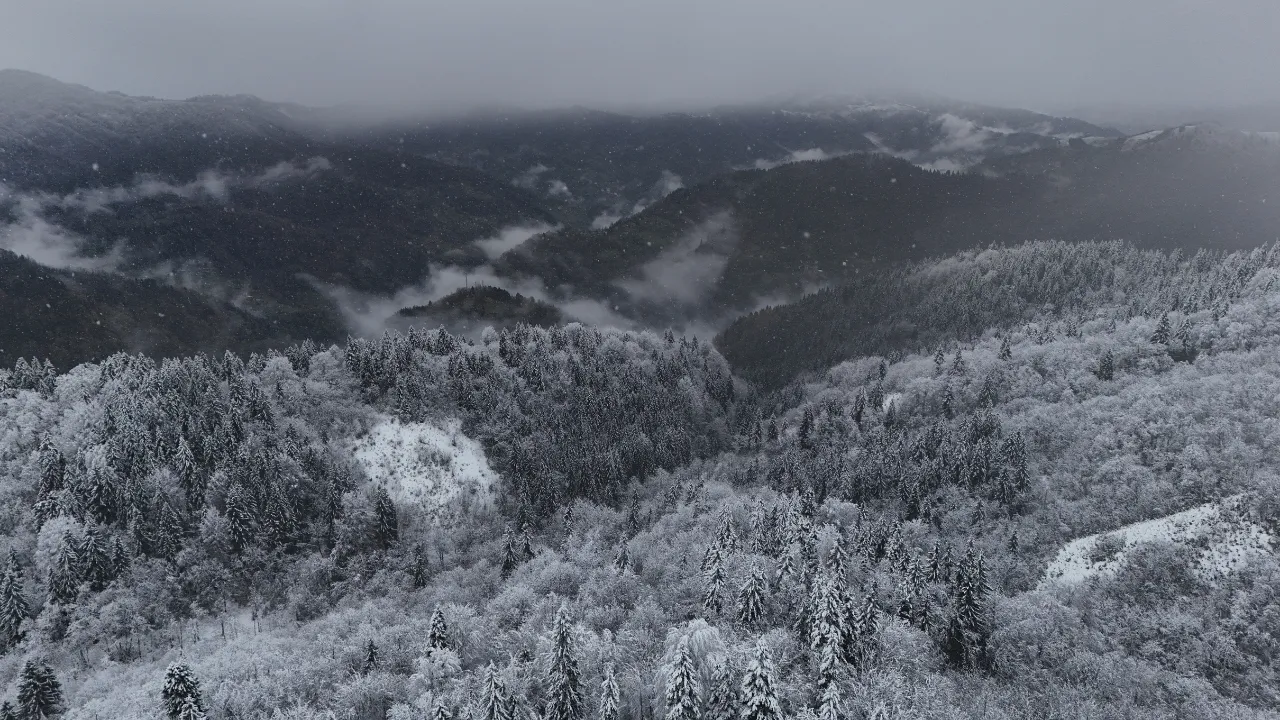 Ayder Yaylası'nda kar kalınlığı 20 santimetreye ulaştı