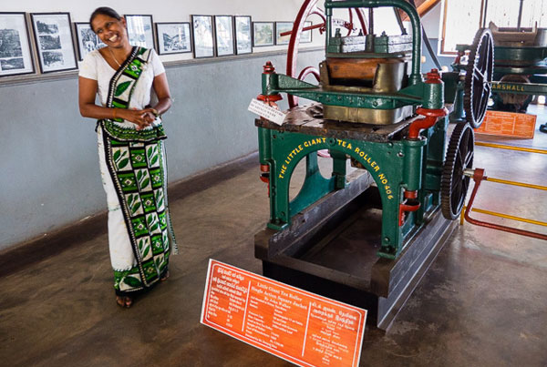 Çin Ulusal Çay Müzesi  Çin, Zhejiang