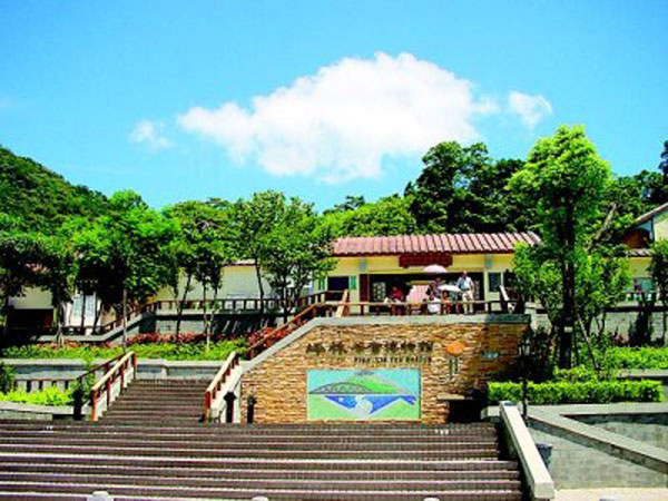 Müzenin dışında bir de bahçe yer alıyor. Güneydoğu Çin tarzında tasarlanan bu bahçede iki çeşit geleneksel Çin binası koridorlar, pavilyonlar, bambu ağaçları ve taş döşemeleri bulunuyor. Müzenin sergi alanında üç farklı bölüm var buralarda çayın tarihi, çay yapımı teknikleri ve çay yaprakları bölümleri bulunuyor. Müzede çaya dair pek çok şey bulabiliyorsunuz.