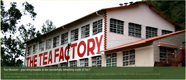 35 yıllık çay deneyimi ile bu çay fabrikası aynı zamanda çay müzesi 2005 yılında açılmış. Müzede, dünyadaki çay tarihinden, çayın Hindistana gelişi ve buradaki evrimi de sergileniyor. Hindistanda çayın yetiştiği yüksek yerlerden Nilgiride yer alan çay fabrikası çayın yetiştiği bu bölgede gerçek bir çay deneyimi sunuyor.