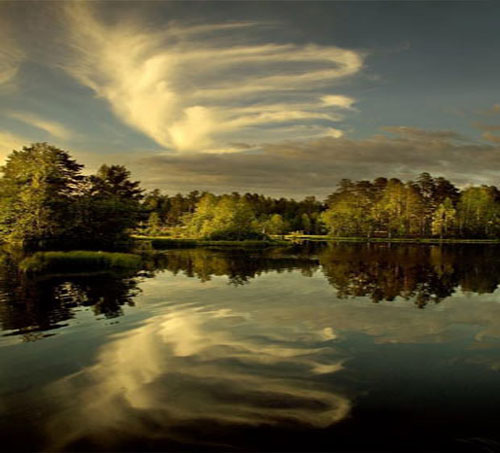 Fotoğrafçılık üzerine dersler veren Dmitry Zhamkova'nın son çalışması görenleri hayran bıraktı.