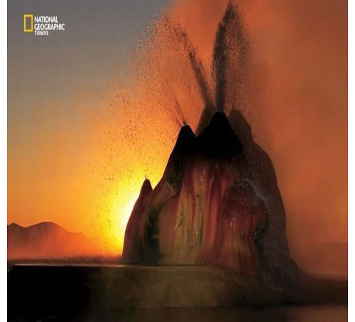 Dünyada en çok fotoğrafçı çalıştıran National Geographic yayınladığı bu fotoğraflarla da dikkatleri çekiyor. İşte National Geographic'in gözünden bir birinden ilginç fotoğraflarla doğal yaşam işte böyle görüntülendi.