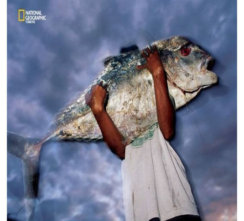 Dünyada en çok fotoğrafçı çalıştıran National Geographic yayınladığı bu fotoğraflarla da dikkatleri çekiyor. İşte National Geographic'in gözünden bir birinden ilginç fotoğraflarla doğal yaşam işte böyle görüntülendi.