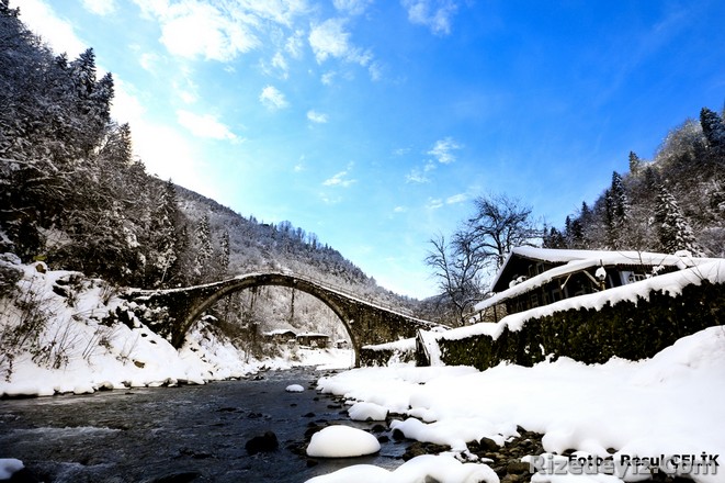 Şenyuva Fındıklı Rize