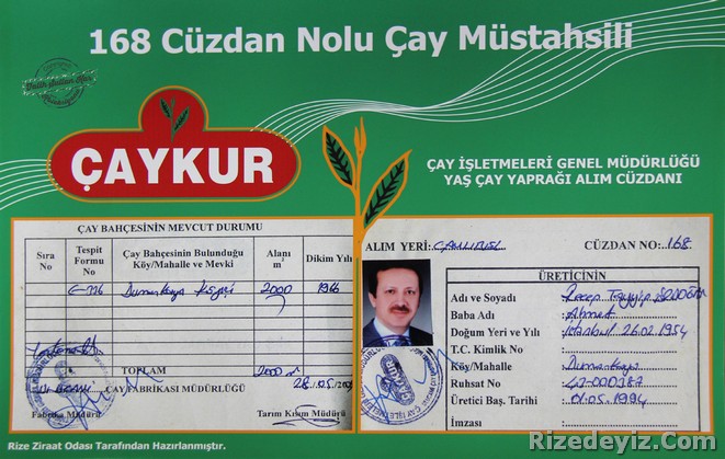 Çay Müstahsili Erdoğan : Cumhurbaşkanı Recep Tayyip Erdoğa memleketi Rize-Güneysu ilçesine bağlı Dumankaya köyündeki 2 bin metrekarelik arazisinde çay üretimi yapılıyor. Babadan kalma arazisindeki çay üretimi işiyle yeğeni İsmet Erdoğan ilgileniyor. Yıllık 3 ton civarında yaş çay yaprağı toplanan bu çaylığı nedeniyle Erdoğanın kendisine ait bir çay cüzdanı da bulunuyor. Erdoğan ÇAYKURun kayıtlarında, 168 Nolu Çay Müstahsili olarak geçiyor.