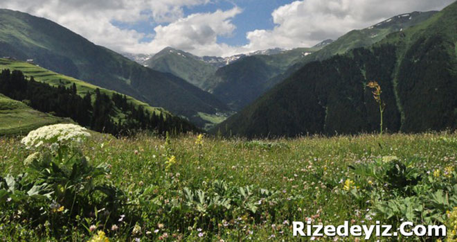 Anzer Yaylası ,Rize ili,İkizdere ilçesi`ne bağlı, bölgenin tanınmasında ise en etkili olan doğası ve dillere destan olan Anzer balıdır.