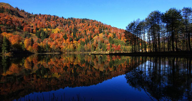 Doğu Karadeniz Bölgesi`nin doğal güzelliği ile öne çıkan yerlerin başında gelen Borçka Karagöl turistlerin de büyük ilgisini çekiyor