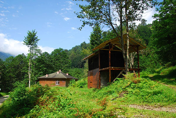 Gürcüdüzü Yaylası