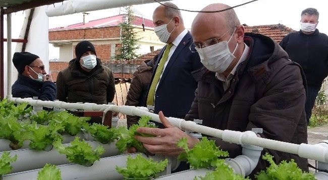 Doğu Karadeniz’de Topraksız Tarım Dönemi