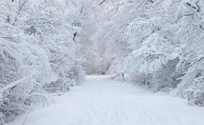 Rize'de Eğitime Kar Engeli