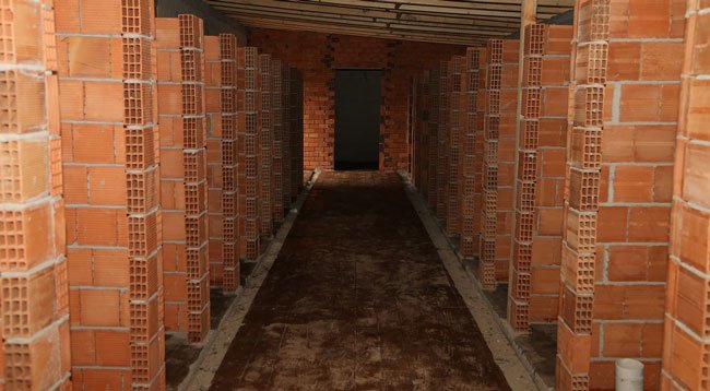 Ordu'da Sokak Hayvanları İçin Hastane Yapılıyor