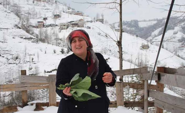 Rize’de Kısıtlama Başlamadan Birçok Kişi Yine Köylere Çıktı