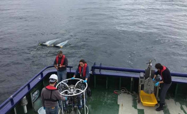 Karadeniz'de 'Mikroplastik' Kirliliği